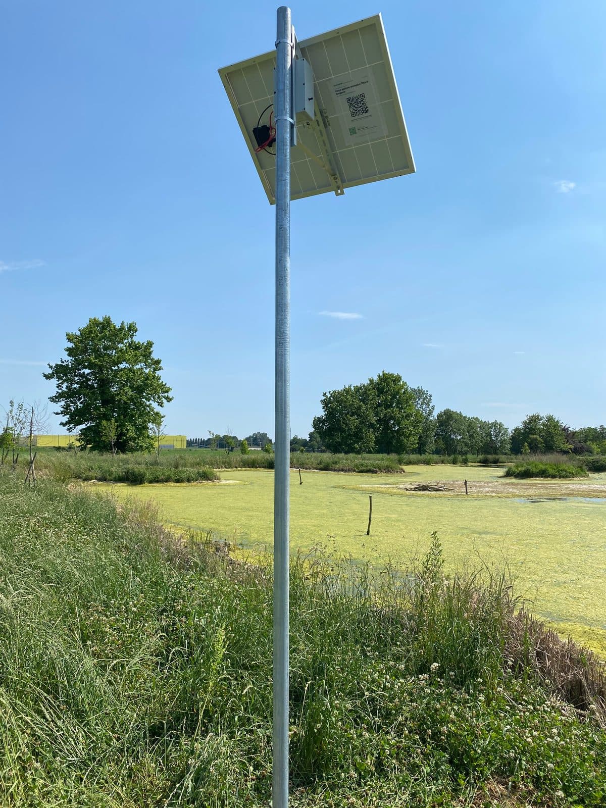 Installazione Upupa · Bosco Soroptimist