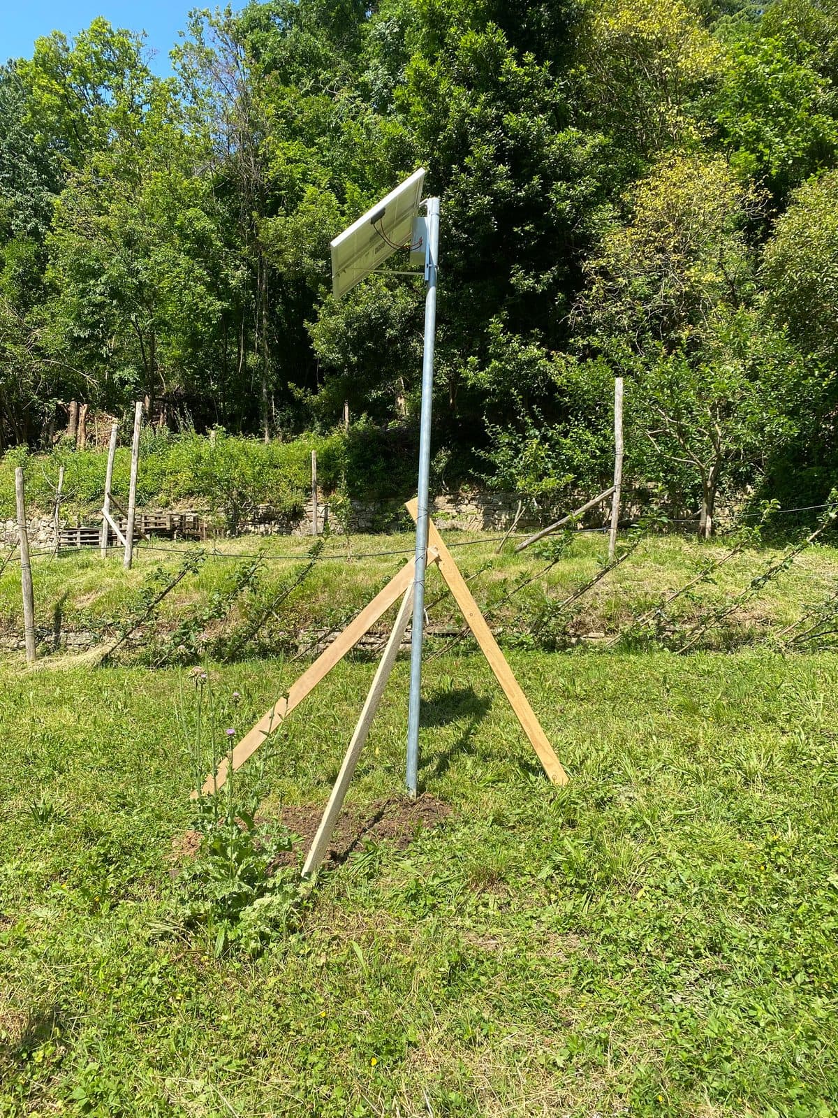Installazione Upupa · Orti di San Tommaso